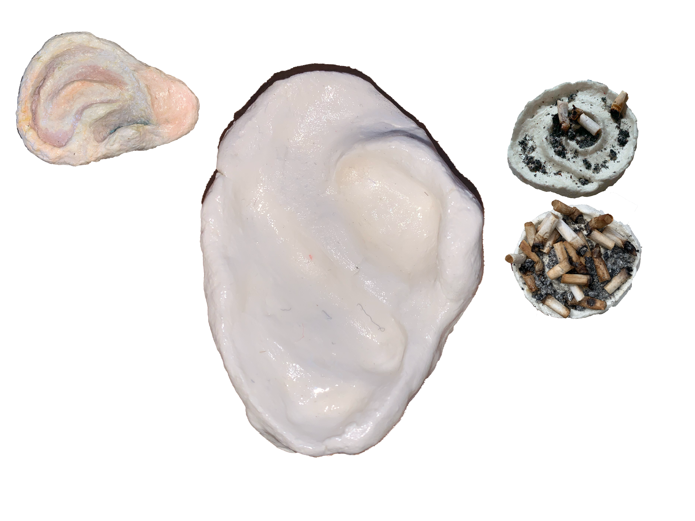 Image 11